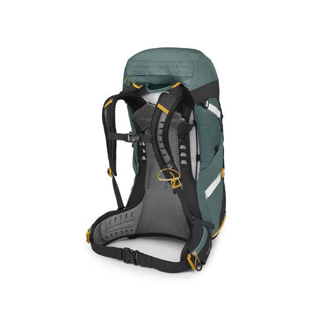 Osprey Sirrus 36 Women Backpack Outdoor Action Succulent Green - Back Angled