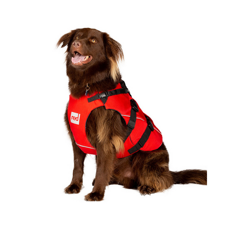 Red PaddleRed Dog PFDOutdoor Action